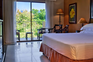 Deluxe - Occidental Papagayo – Adults Only hotel 